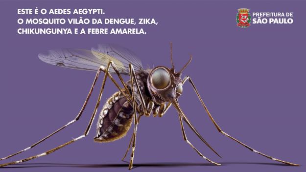 Conheça as medidas adotadas pela Prefeitura no combate à dengue